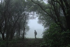 मानसून 2026: 14 मई से धमाका, 55 साल का रिकॉर्ड टूटेगा! IMD का Big Alert
