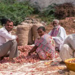 Onion Price Crash Maharashtra May 2026 farmers protest in mandi