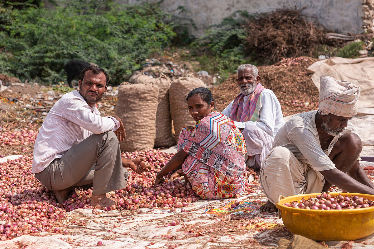Onion Price Crash Maharashtra May 2026 farmers protest in mandi
