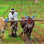 PM Kisan 20th Installment 2026 Status Check - 9.7 crore farmers awaiting ₹2000