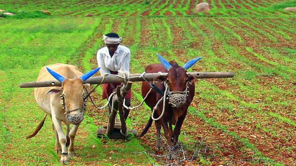 PM Kisan 20th Installment 2026 Status Check - 9.7 crore farmers awaiting ₹2000